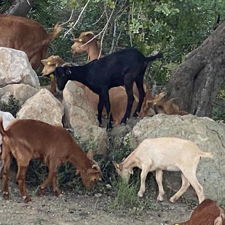 Cortijo Las Palmeras El Chorro Alora Eksteriør bilde