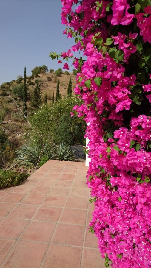 Cortijo Las Palmeras El Chorro Alora Eksteriør bilde